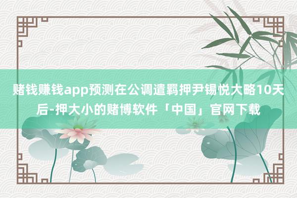赌钱赚钱app预测在公调遣羁押尹锡悦大略10天后-押大小的赌博软件「中国」官网下载