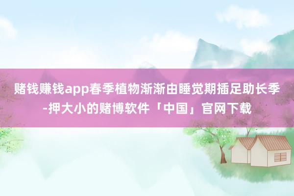 赌钱赚钱app春季植物渐渐由睡觉期插足助长季-押大小的赌博软件「中国」官网下载