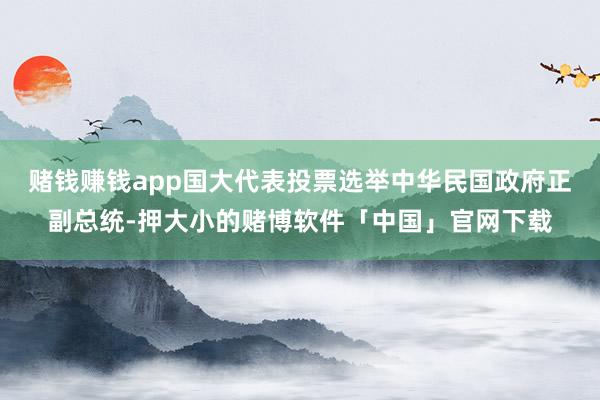 赌钱赚钱app国大代表投票选举中华民国政府正副总统-押大小的赌博软件「中国」官网下载