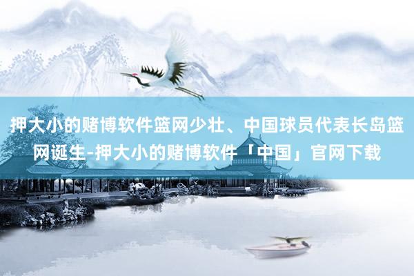 押大小的赌博软件篮网少壮、中国球员代表长岛篮网诞生-押大小的赌博软件「中国」官网下载
