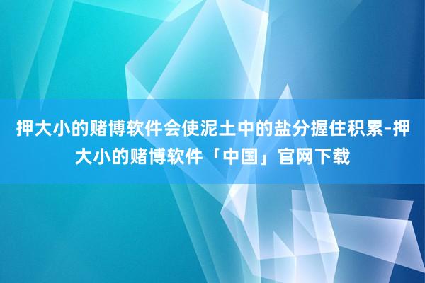 押大小的赌博软件会使泥土中的盐分握住积累-押大小的赌博软件「中国」官网下载
