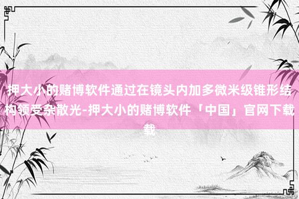 押大小的赌博软件通过在镜头内加多微米级锥形结构领受杂散光-押大小的赌博软件「中国」官网下载